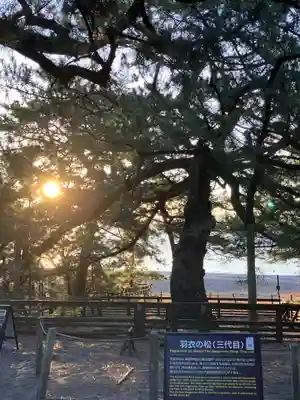 御穂神社(静岡県)