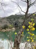 河上神社の自然
