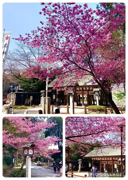 櫻木神社(千葉県)