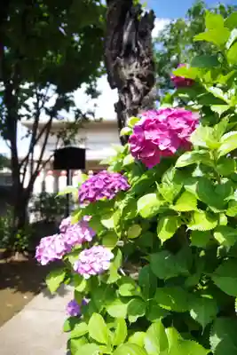 福王山  慈眼寺(東京都)