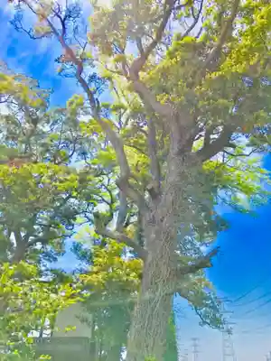 愛宕神社(茨城県)