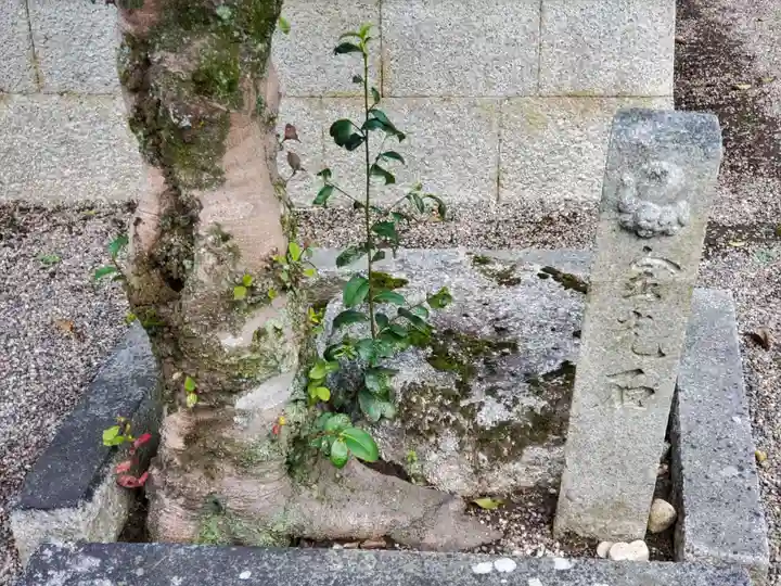 饒石神社のその他建物