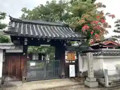 祐正寺の山門