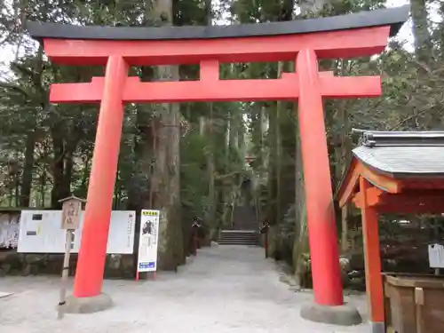 箱根神社の鳥居