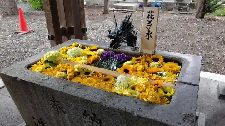 札幌諏訪神社の手水舎