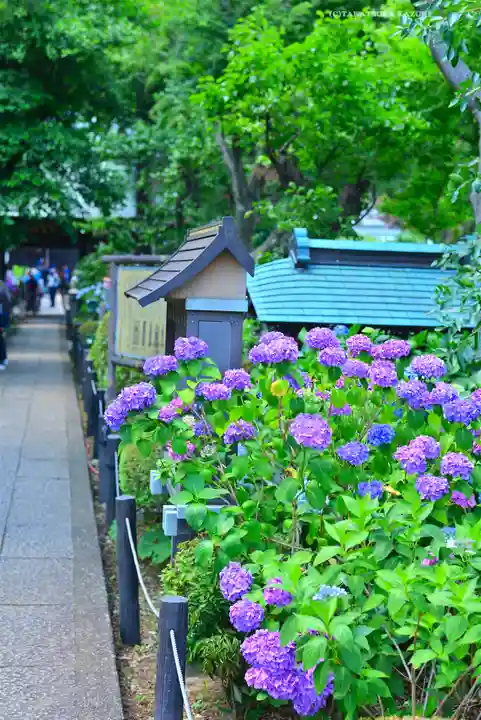妙楽寺(神奈川県)