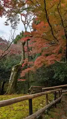 霊鑑寺門跡(京都府)