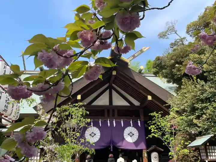 東京大神宮(東京都)