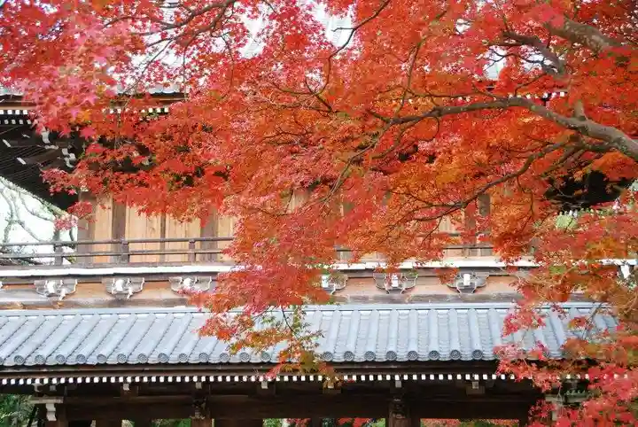 功山寺(山口県)