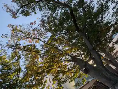 阿邪訶根神社(福島県)