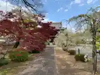 妙顕寺の山門・神門