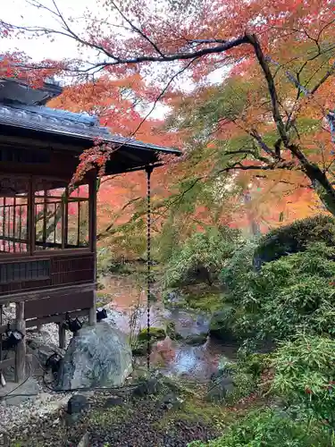 宝厳院(京都府)