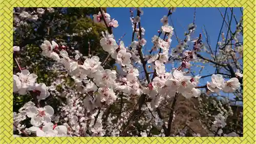八雲神社(緑町)(栃木県)