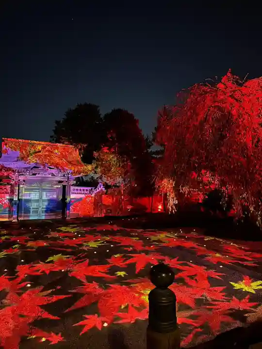 高台寺(高台寿聖禅寺・高臺寺)(京都府)