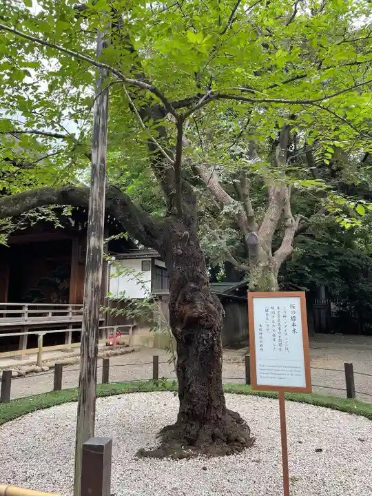 靖國神社の庭園