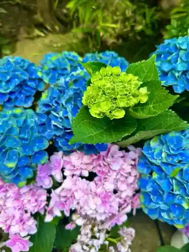 楽法寺（雨引観音）(茨城県)
