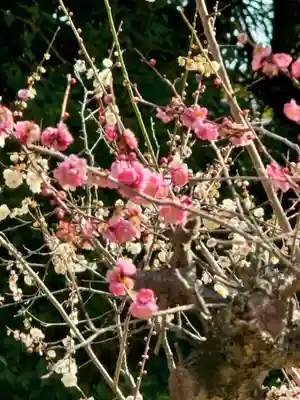 意賀美神社(大阪府)