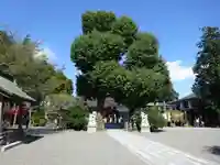 亀ケ池八幡宮の自然