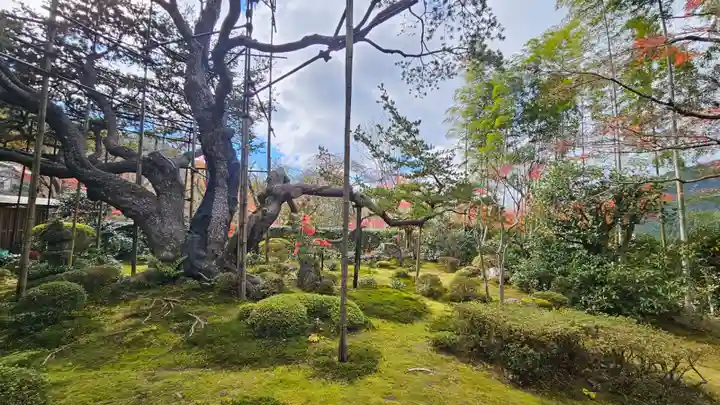 宝泉院(京都府)
