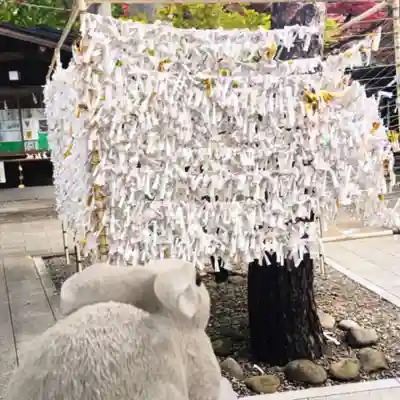 彌彦神社　(伊夜日子神社)のおみくじ