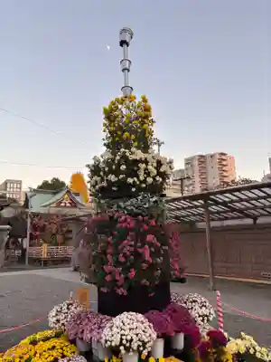 亀戸天神社(東京都)