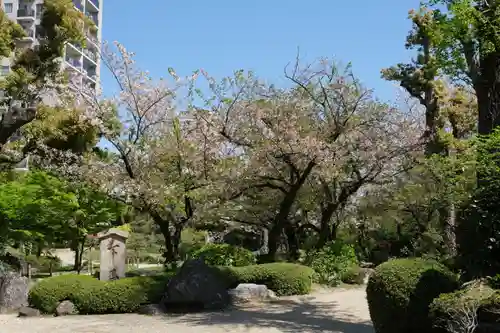 四天王寺の庭園