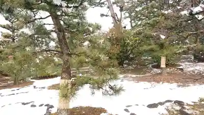  智積院(京都府)