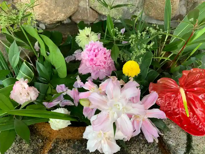 生田神社(兵庫県)
