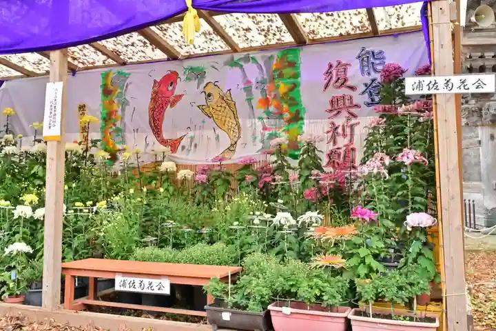 普光寺(新潟県)