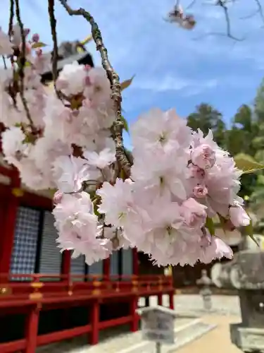 志波彦神社・鹽竈神社の{uncategorized: "未分類", other: "その他", undefined: "問題あり", building: "その他建物", grave: "お墓", sacred_gate: "鳥居", guardian: "狛犬", statue: "像", buddha: "仏像", history: "歴史", nature: "自然", garden: "庭園", animal: "動物", pagoda: "塔", temizu: "手水舎", mountain_gate: "山門・神門", sanctuary: "本殿・本堂", subordinate: "末社・摂社", art: "芸術", scenery: "景色", jizo: "地蔵", ema: "絵馬", goshuin: "御朱印", omikuji: "おみくじ", items: "授与品その他", amulet: "お守り", goshuincho: "御朱印帳", eats: "食事", festival: "お祭り", votive_dance: "神楽", shichigosan: "七五三参", wedding: "結婚式", experience: "体験その他", initially: "初詣", around: "周辺", anti_infection: "感染症対策"}