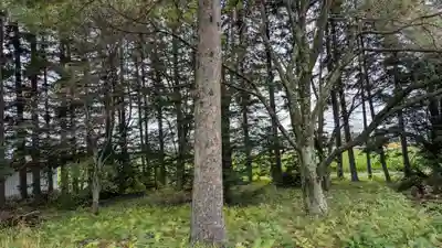 幸福神社の自然