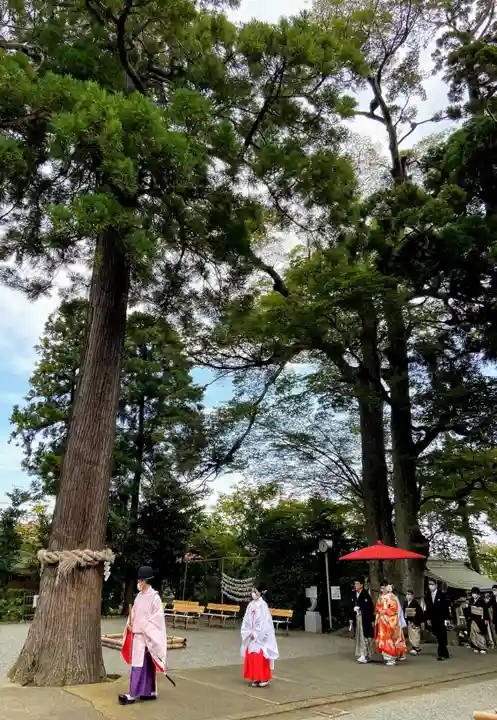 比々多神社の結婚式