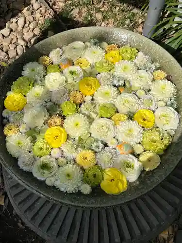 行田八幡神社(埼玉県)