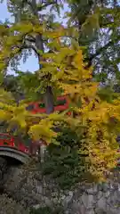 賀茂御祖神社（下鴨神社）(京都府)