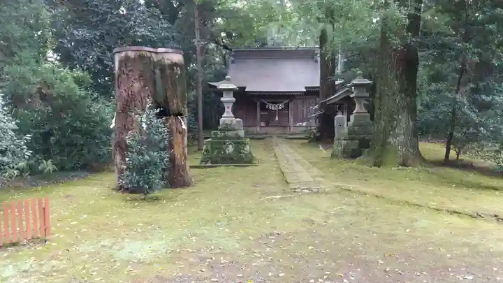 子安神社の本殿・本堂