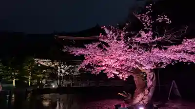 知恩院(京都府)