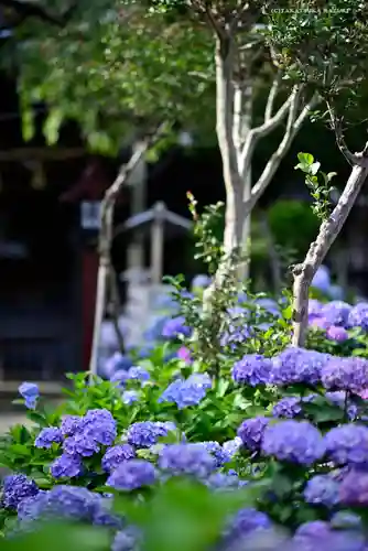 白山神社の庭園