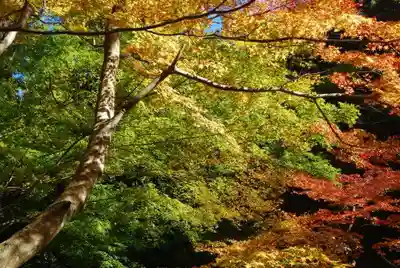 大寧寺(山口県)