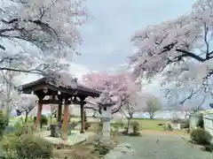 上行寺の建物その他