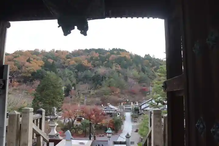 柳谷観音 楊谷寺(京都府)