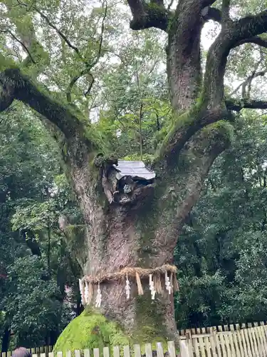 熱田神宮(愛知県)