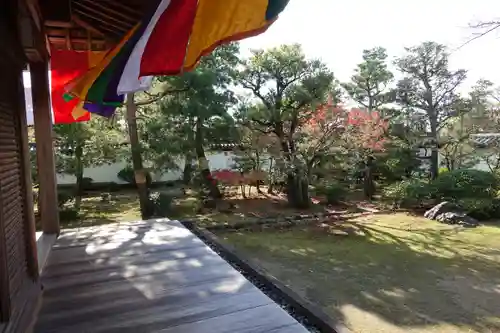 根来寺 智積院の庭園