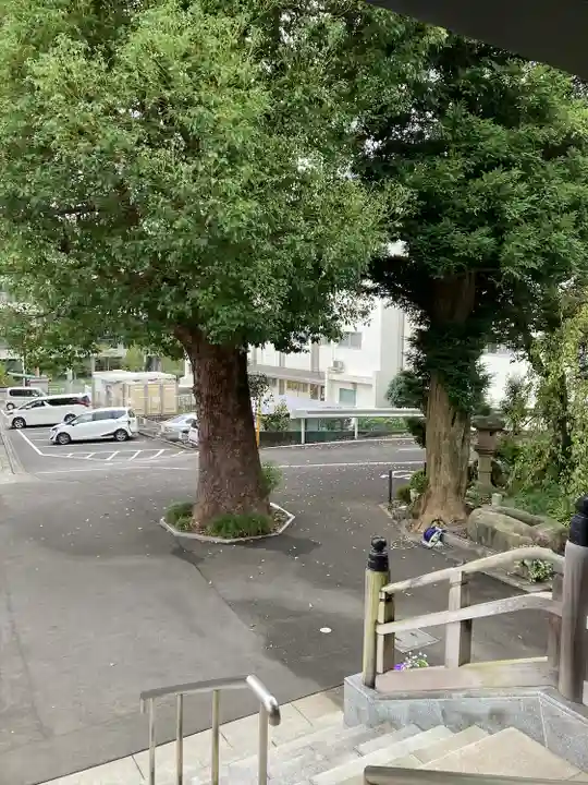 常眞寺(神奈川県)