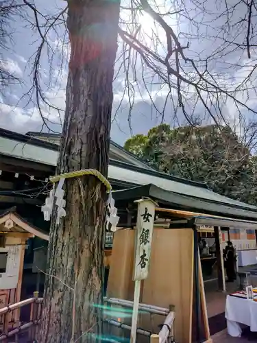大宮八幡宮の自然