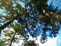 登戸稲荷神社の自然