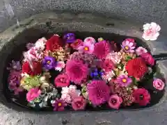 手稲神社(北海道)