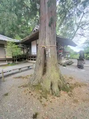 白瀧神社(群馬県)