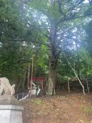 月山神社(岩手県)