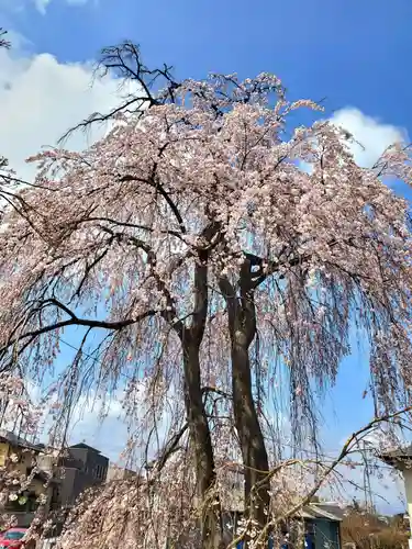 妙林寺(福島県)