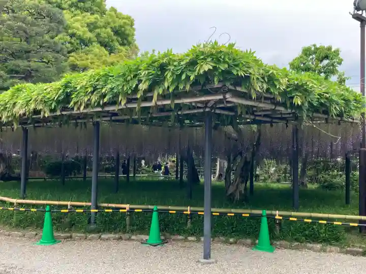 平等院の{uncategorized: "未分類", other: "その他", undefined: "問題あり", building: "その他建物", grave: "お墓", sacred_gate: "鳥居", guardian: "狛犬", statue: "像", buddha: "仏像", history: "歴史", nature: "自然", garden: "庭園", animal: "動物", pagoda: "塔", temizu: "手水舎", mountain_gate: "山門・神門", sanctuary: "本殿・本堂", subordinate: "末社・摂社", art: "芸術", scenery: "景色", jizo: "地蔵", ema: "絵馬", goshuin: "御朱印", omikuji: "おみくじ", items: "授与品その他", amulet: "お守り", goshuincho: "御朱印帳", eats: "食事", festival: "お祭り", votive_dance: "神楽", shichigosan: "七五三参", wedding: "結婚式", experience: "体験その他", initially: "初詣", around: "周辺", anti_infection: "感染症対策"}